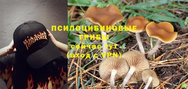 ГАЛЛЮЦИНОГЕННЫЕ ГРИБЫ Алзамай