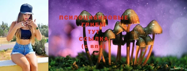 твердый Алексеевка