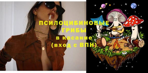 твердый Алексеевка