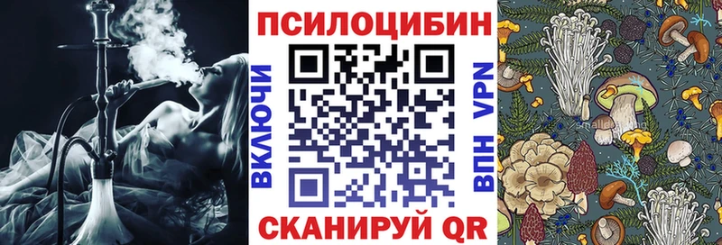 даркнет сайт  Ессентукская  Галлюциногенные грибы прущие грибы 