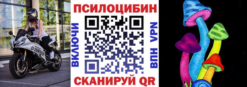 Псилоцибиновые грибы мицелий Ессентукская