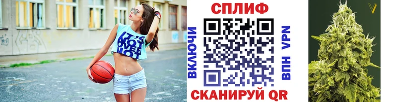 где купить наркоту  Ессентукская  Конопля AK-47 